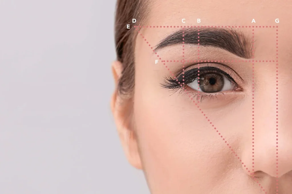 Altın Oran Kaş Alımı